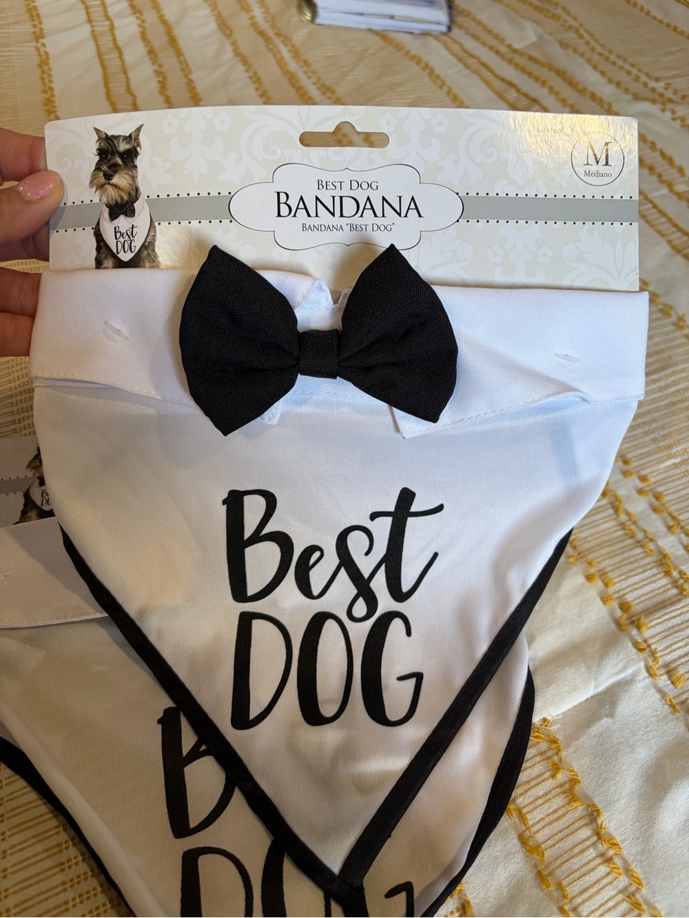 Amscan White Bandana with Black Bow "Best Dog"